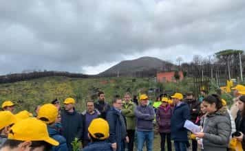 alberi vesuvio legambiente