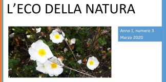 l'eco della natura