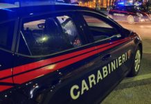 casalnuovo pusher