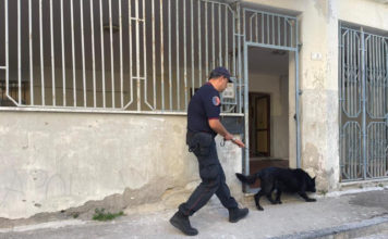 controlli carabinieri