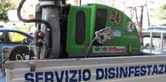 disinfestazione insetti torre del greco