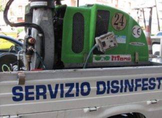 disinfestazione insetti torre del greco