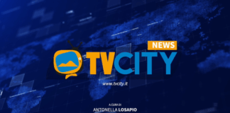 tvcity flash news