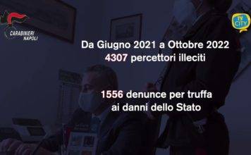 reddito di cittadinanza truffe 15 milioni