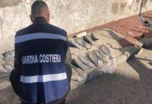 torre del greco guardia costiera pesca illegale