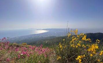 vesuvio 5