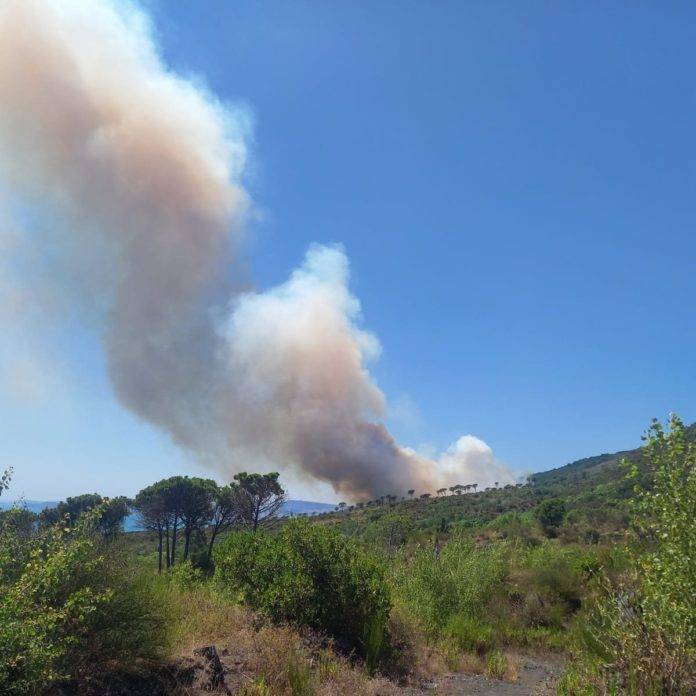 incendio vesuvio